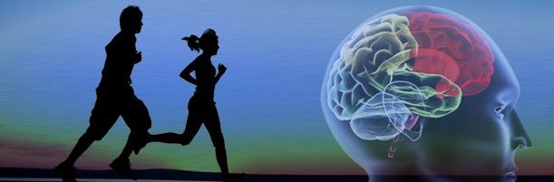 Estudio del conocimiento procedimental, experiencia y rendimiento en jugadores de voleibol