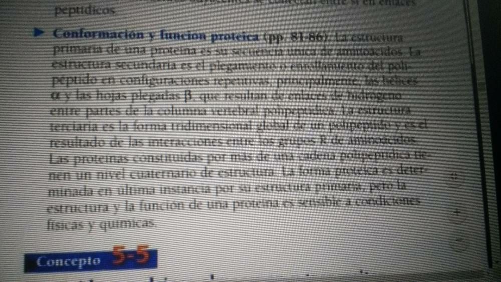 Macromoleculas