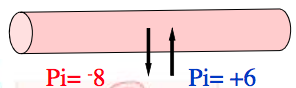 Microcirculación y circulación linfática
