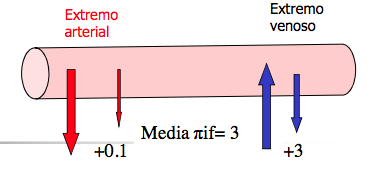Microcirculación y circulación linfática