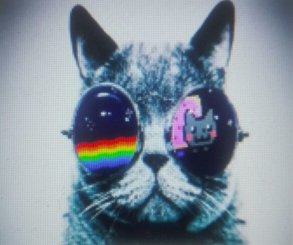 •Cool