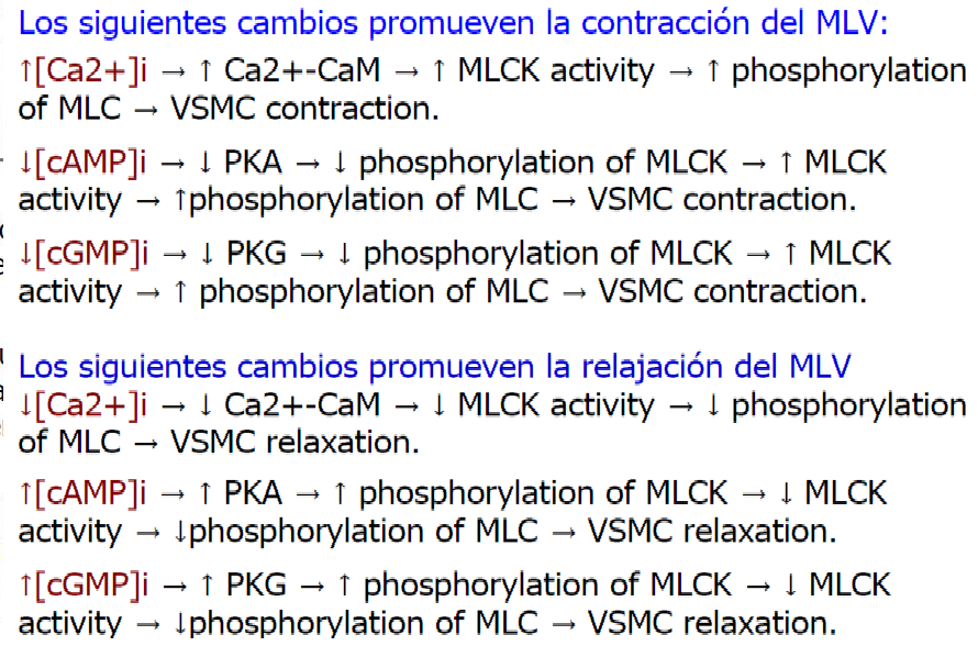 Microcirculación y circulación linfática