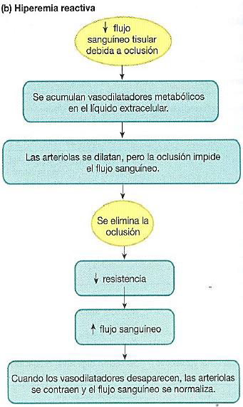Microcirculación y circulación linfática