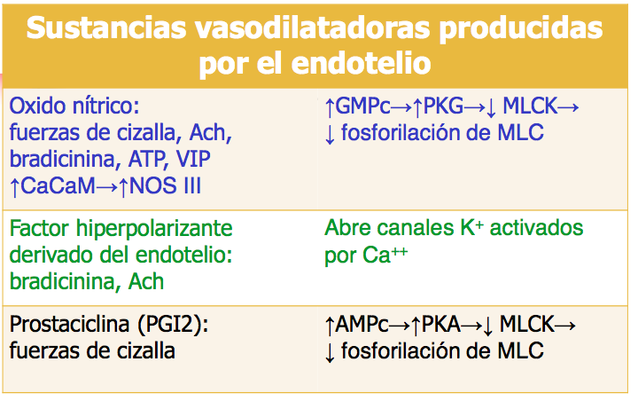 Microcirculación y circulación linfática