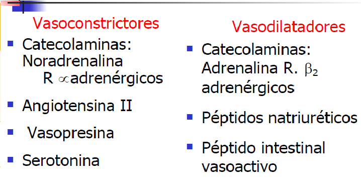 Microcirculación y circulación linfática
