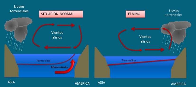 Corriente cálida del Niño y fría de Humboldt 9° 18