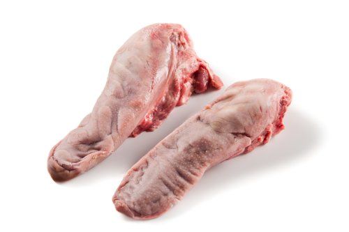 APARATO DIGESTIVO DEL CERDO
