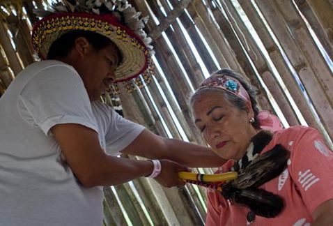 LA FILOSOFÍA, EL PROCESO SALUD-ENFERMEDAD Y EL MEDIO AMBIENTE