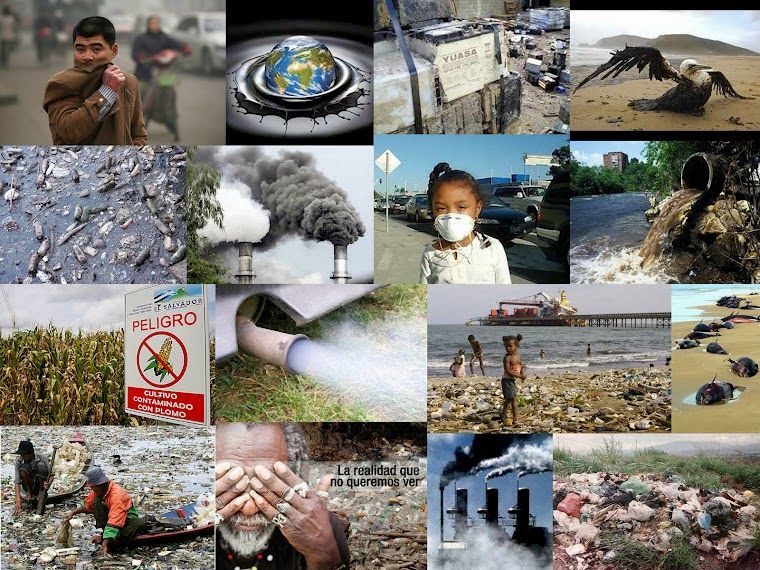 LA FILOSOFÍA, EL PROCESO SALUD-ENFERMEDAD Y EL MEDIO AMBIENTE