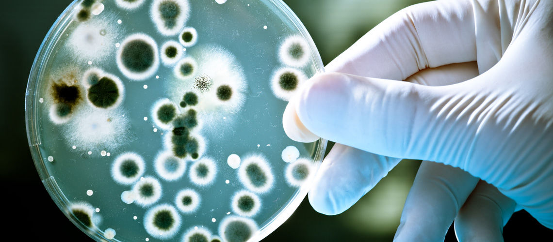 LA FILOSOFÍA, EL PROCESO SALUD-ENFERMEDAD Y EL MEDIO AMBIENTE