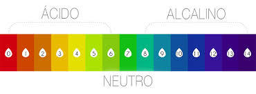 MATÉRIA E ENERGIA NOS ECOSSISTEMAS