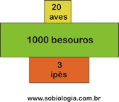 MATÉRIA E ENERGIA NOS ECOSSISTEMAS