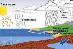 MATÉRIA E ENERGIA NOS ECOSSISTEMAS