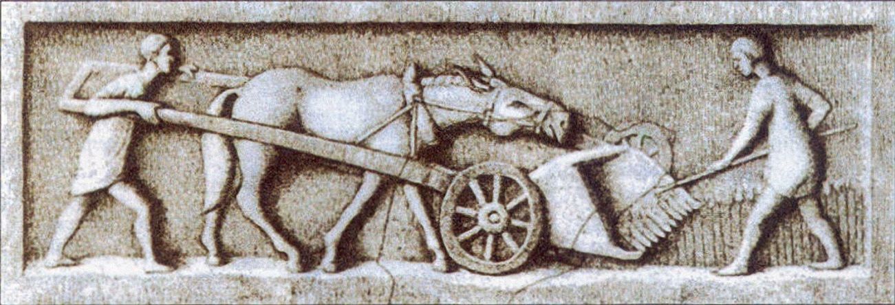 Sociedad y economía en Roma