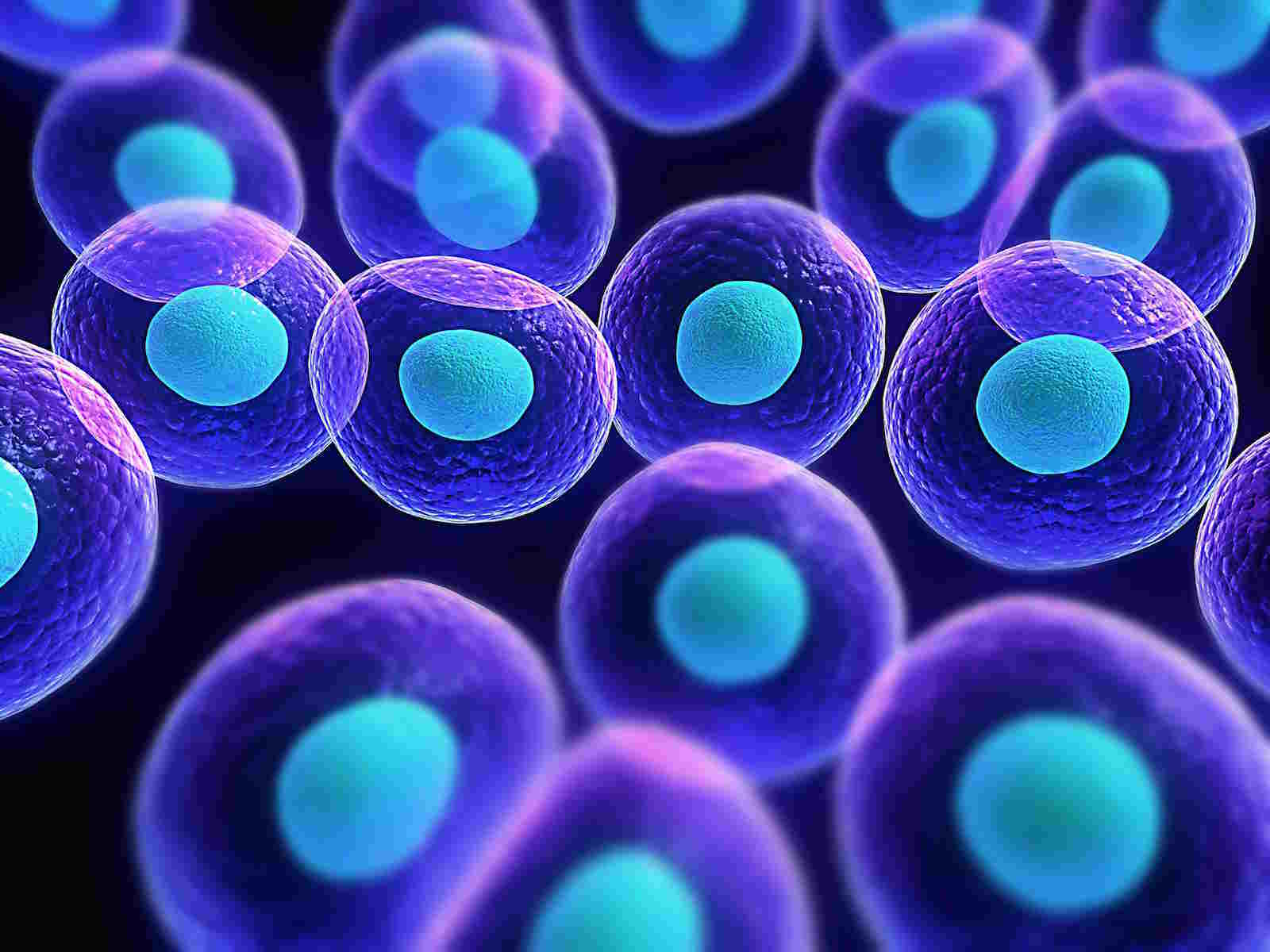 Fichas para repasar temas selectos biología 1