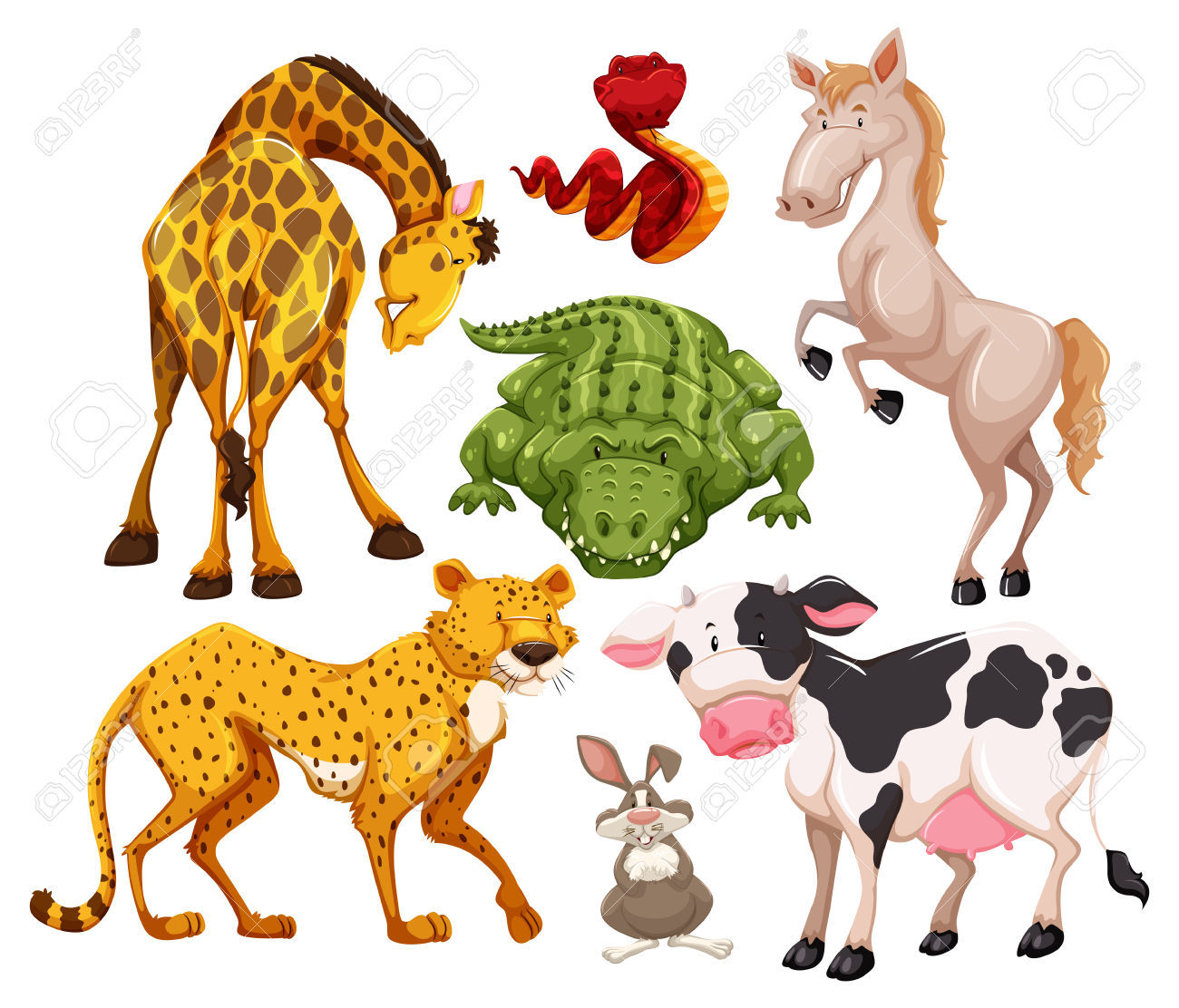 Clasificación de los animales:
