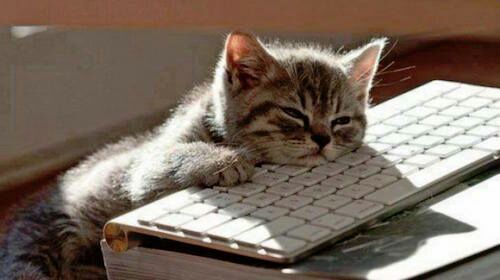 Lazy