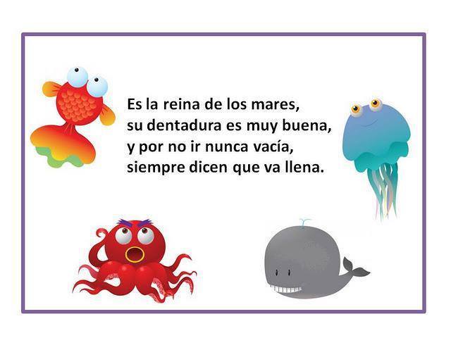 los animales mamiferos