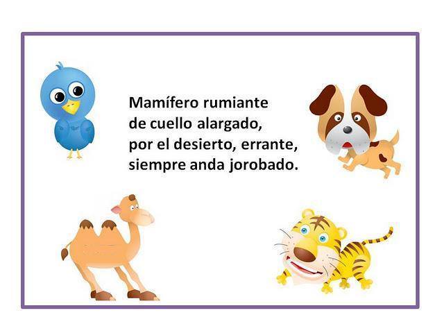 los animales mamiferos