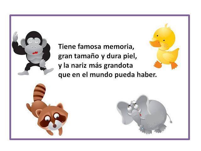 los animales mamiferos