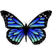 Mariposa Imagen Animada 0018