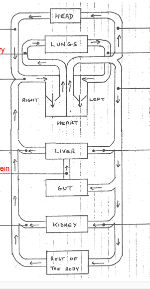 Circulation