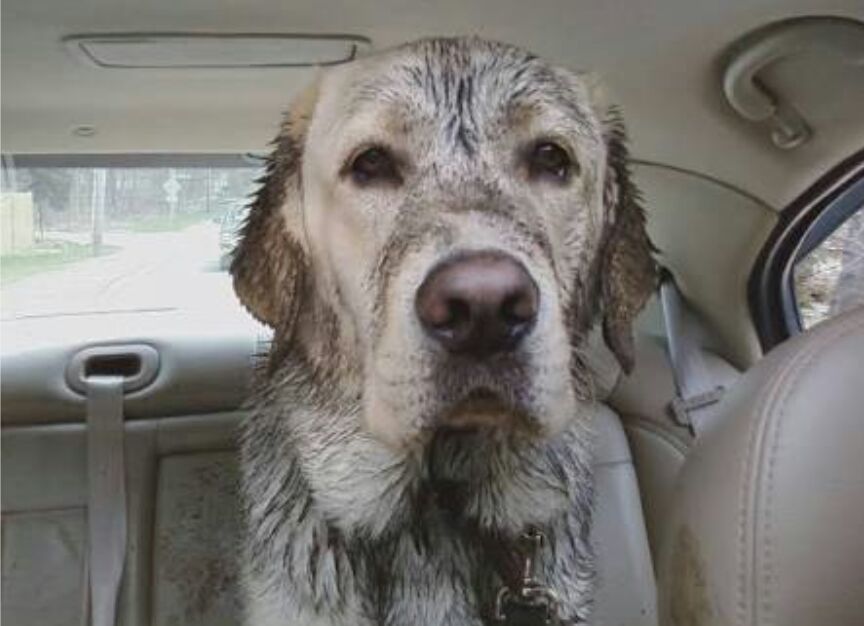 DIRTY sucio