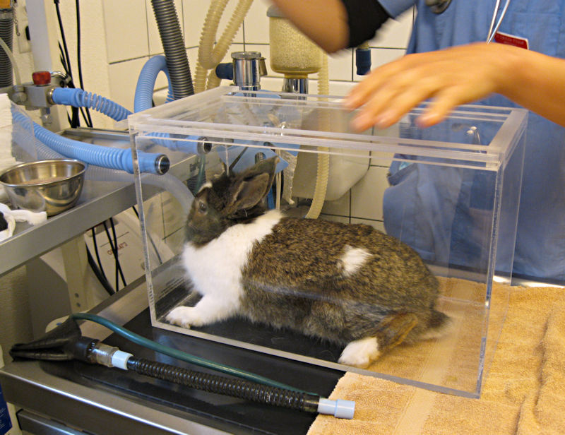 Chamber Induction Technique