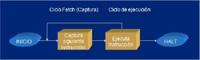Ciclo Fetch