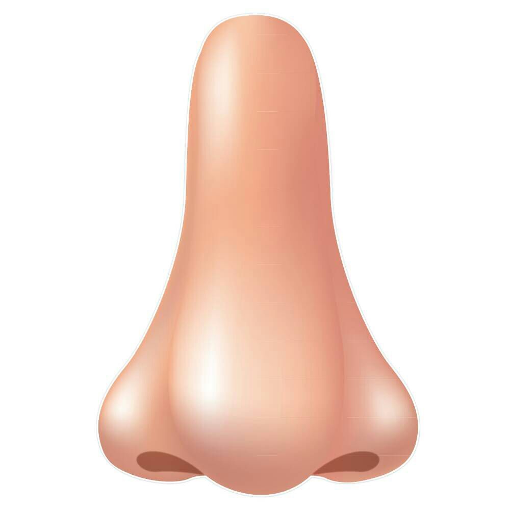 nose