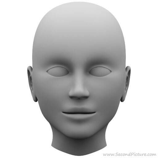 head