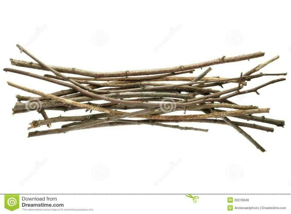 sticks