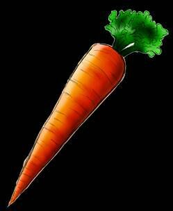 carrot