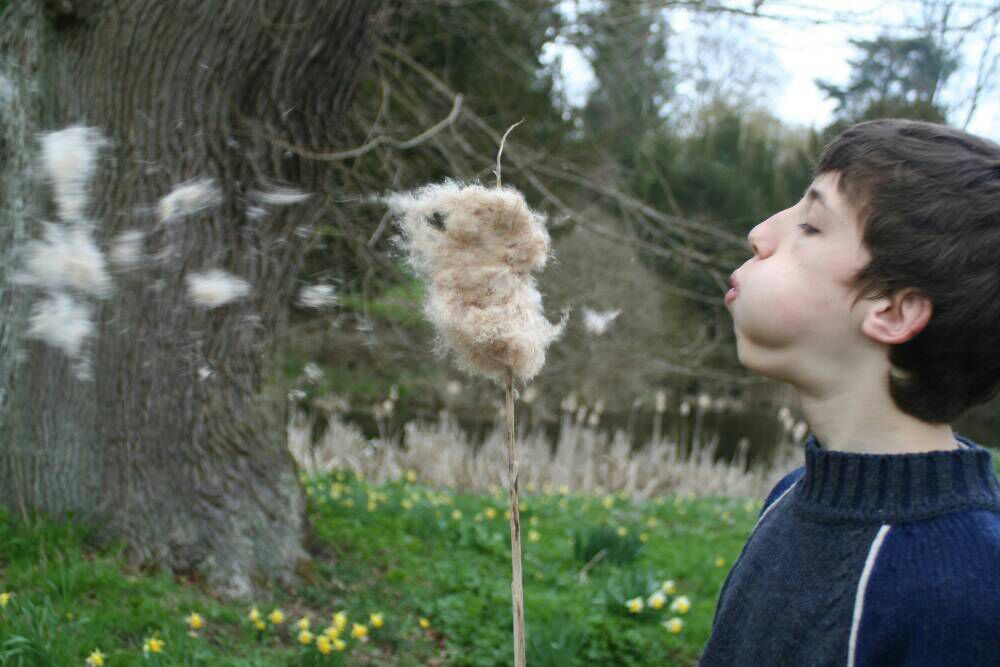 blowing