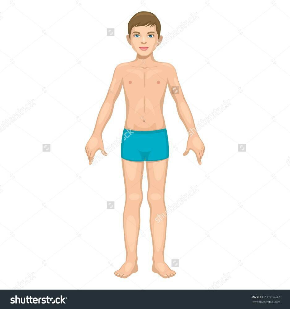 body