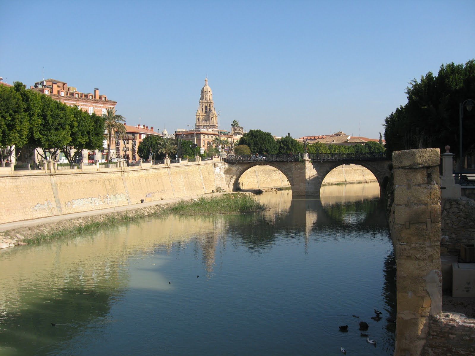 EL AGUA DE MURCIA (OFICIAL)
