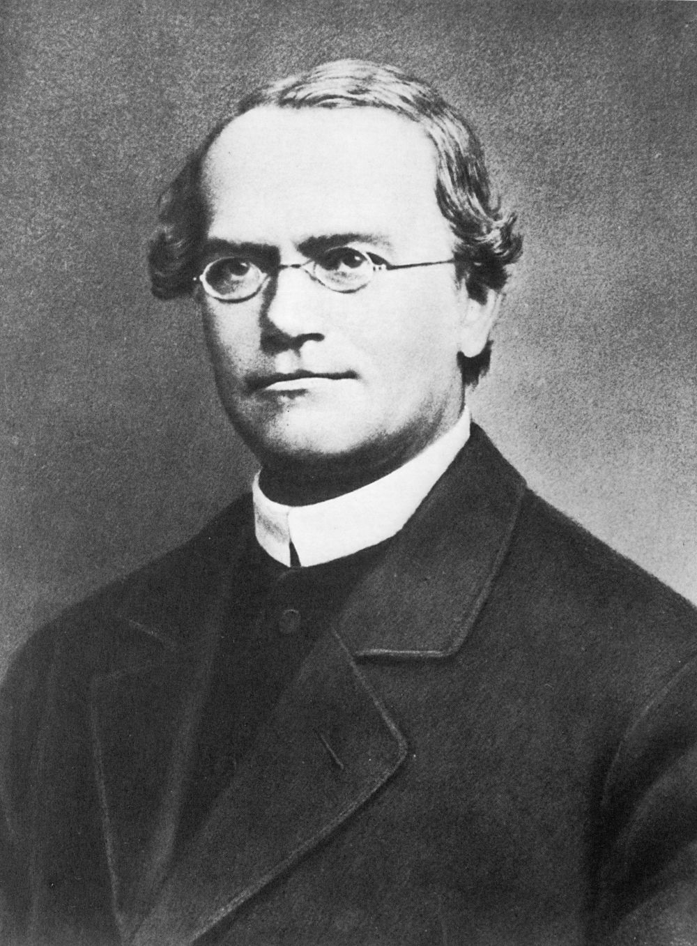 Quién es Gregor Johann Mendel ?