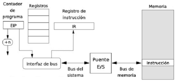 Ciclo Fetch