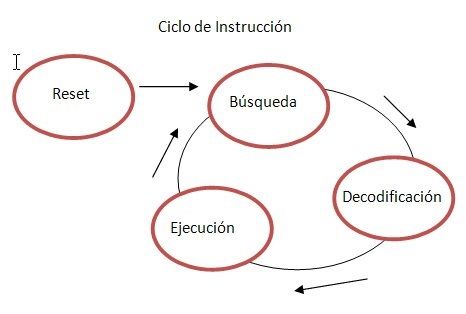 Ciclo Fetch