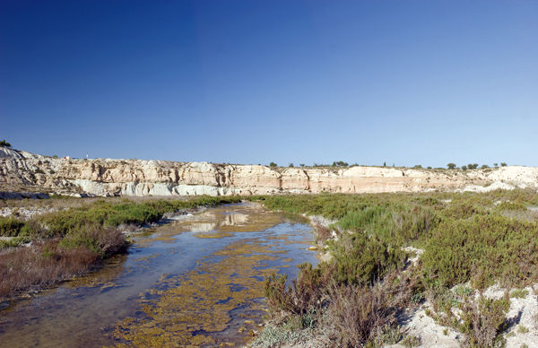 EL AGUA DE MURCIA (OFICIAL)