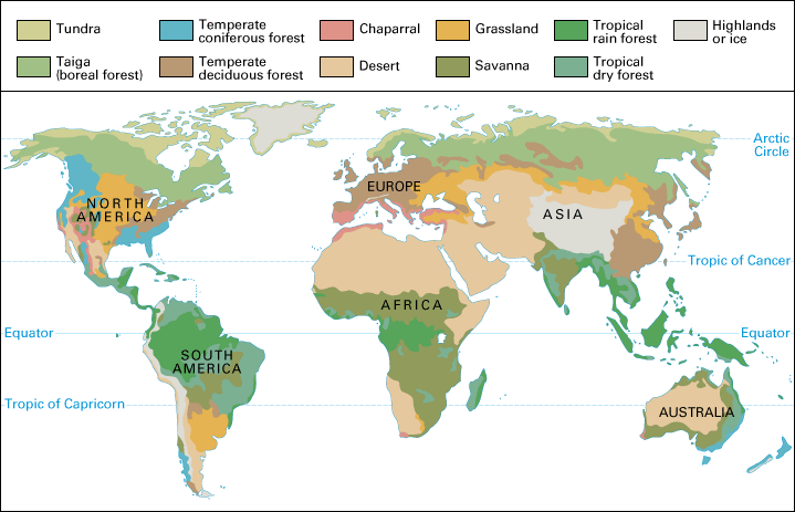 locations: tropical rainforest and deserts
