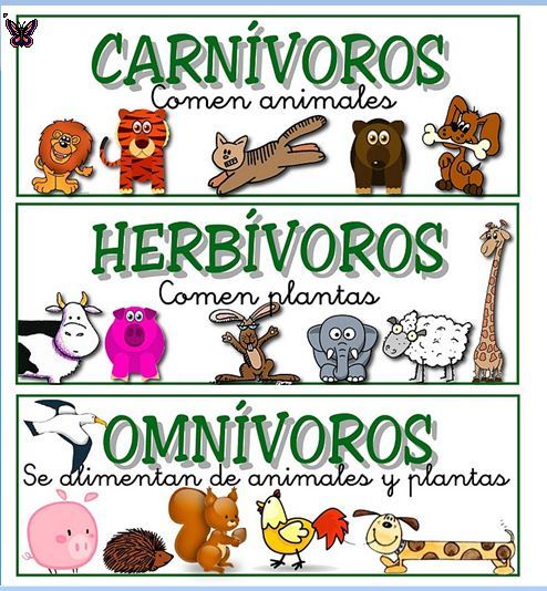 ¿Que comen los animales?