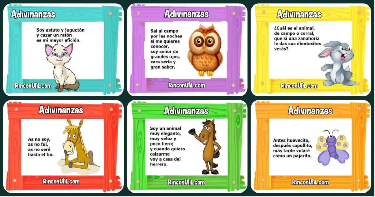 ¿Que comen los animales?