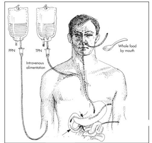 Image for question 1
