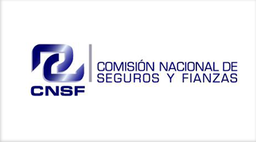 Comisión Nacional de Seguros y Finanzas
