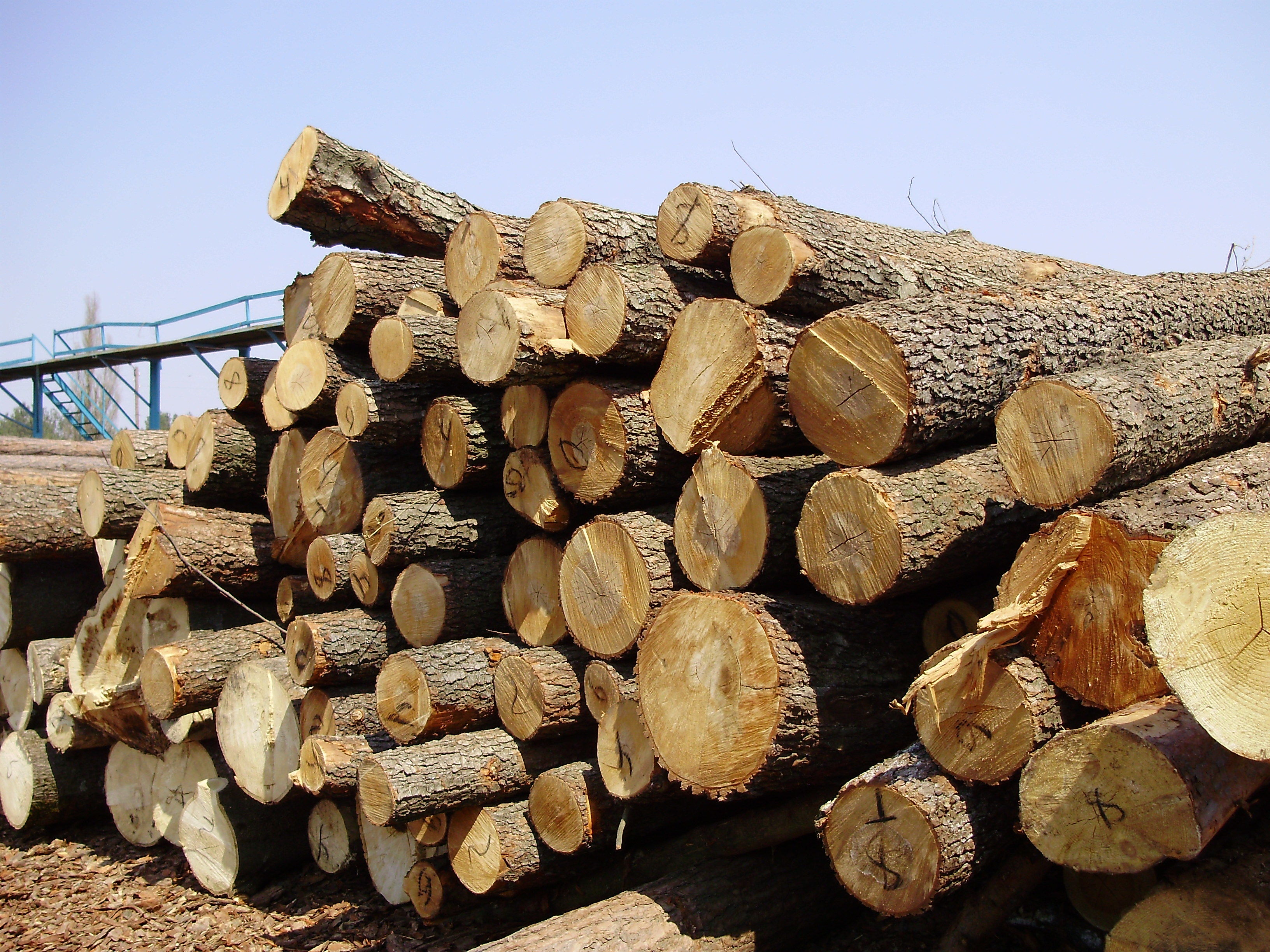 How must RAW MATERIALS be considered in design?