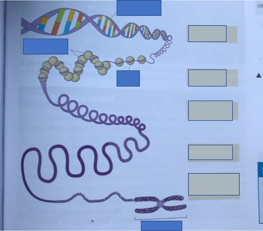 Image for question 13