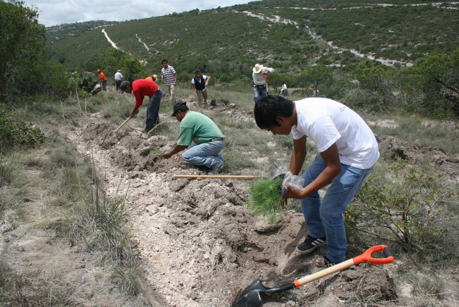3. DISEÑAR EL PRODUCTO