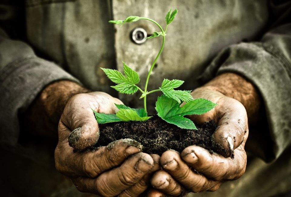 3.DISEÑAR EL PRODUCTO