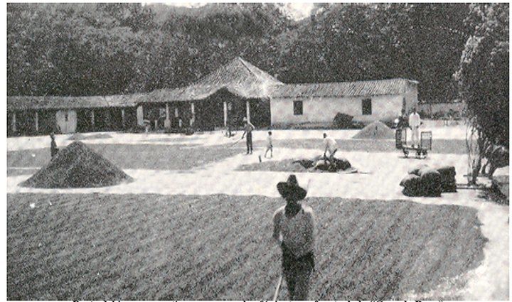 Hacienda Propiedad de gran extensión en América durante el periodo colonial. En Chile, fue la principal unidad productiva del siglo XVII ...
